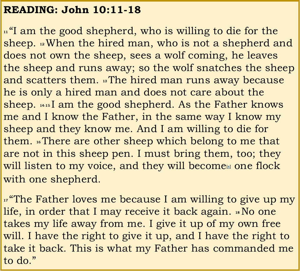 John 10 11-18
